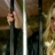 Candice nous parle de Because