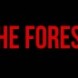 The Forest l Bande Annonce