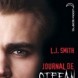 Le journal de Stefan