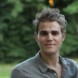 Mystic Falls Courrier