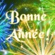 Bonne ann�e! 