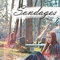 Sondage