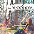 Sondage