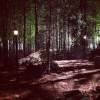 The Vampire Diaries Photos tournage de la saison 5 