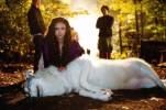 The Vampire Diaries Photos tournage de la saison 2 