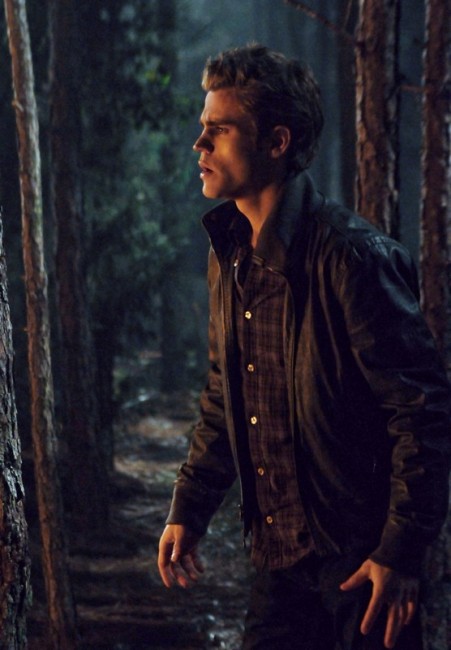 Stefan dans la forêt