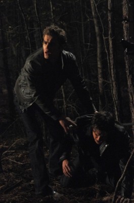 Stefan tente de relever son frère Damon