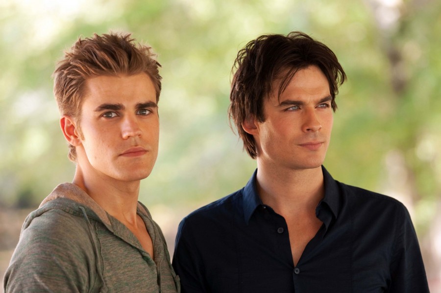 Stefan et Damon sur le quivive