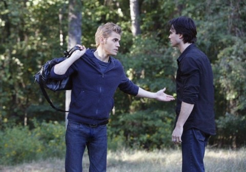 Stefan tente de retenir Damon